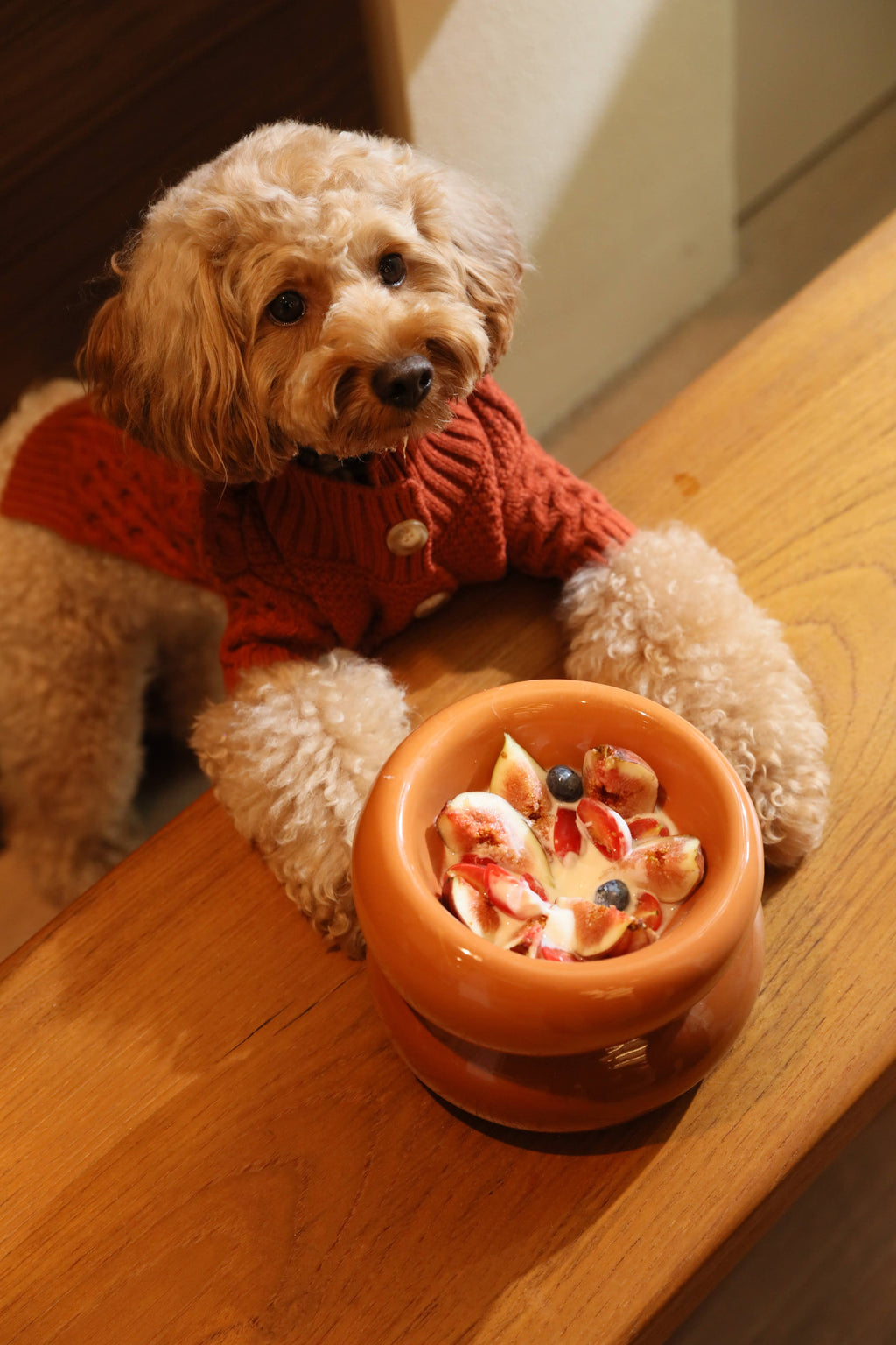 Soufflé Pet Bowl - Rose Pink