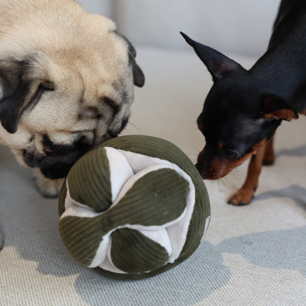 Monti Snuffle Ball – Enrichment Toy (Pink & Pine)