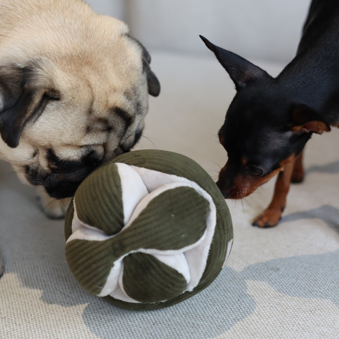 Monti Snuffle Ball – Enrichment Toy (Pink & Pine)