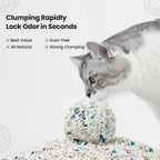 Noisylion Green Tea Tofu Cat Litter – Low-Dust, Fast-Clumping
