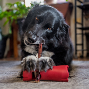 Bully Bunches Bully Stick Safety Holder
