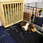 Mounted Hay Feeder for Rabbits & Guinea Pigs