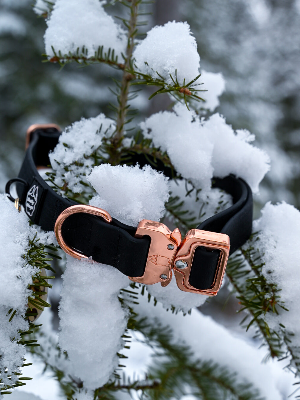 1 inch Waterproof PVC Dog Collar