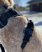 Heavy-Duty Everyday Harness - Black