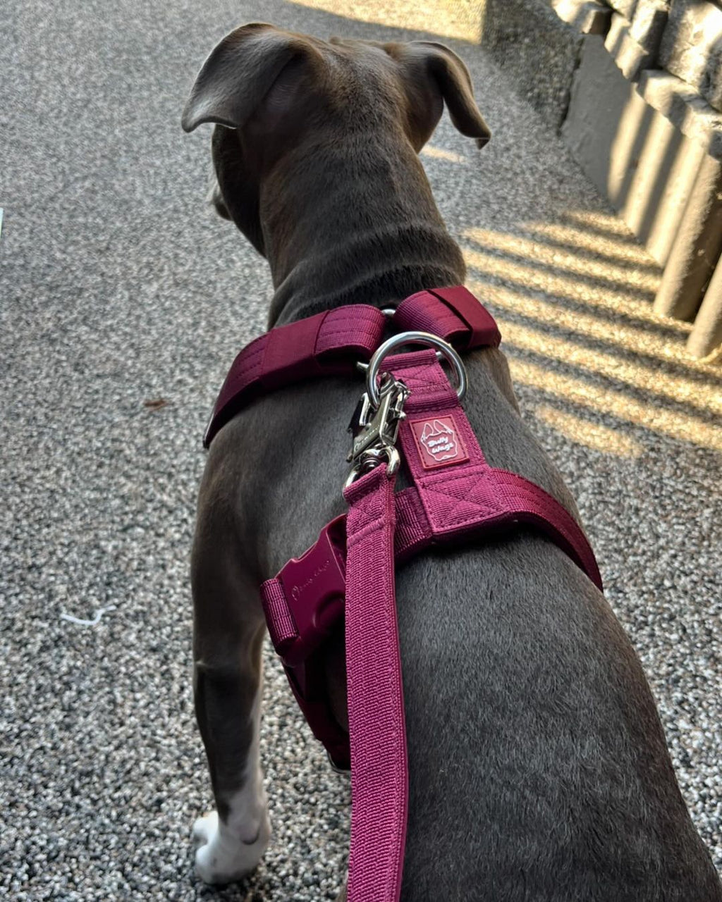 Tactical Dog Leash - Cherry Wine