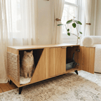 Jessie Litter Cabinet – Hidden Litter Box & Home Furniture