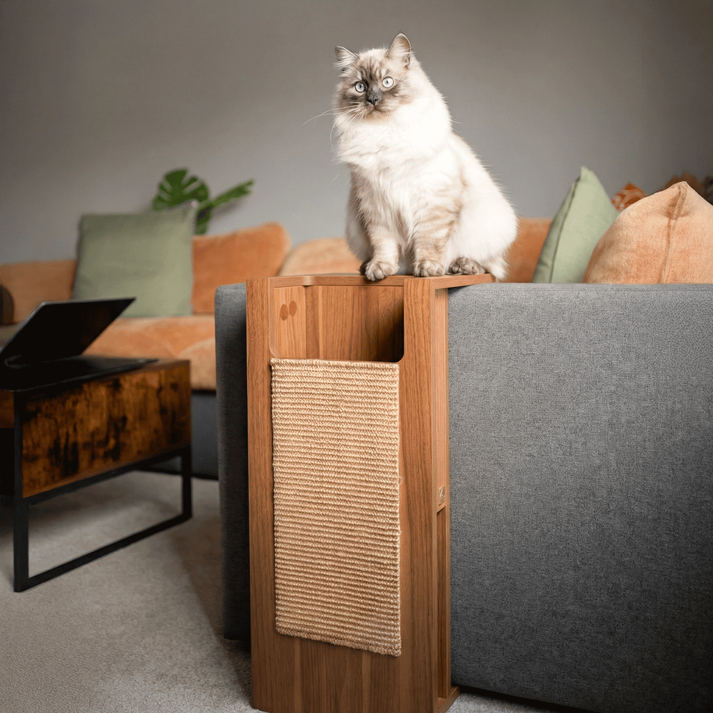 jewl nesting table + scratcher