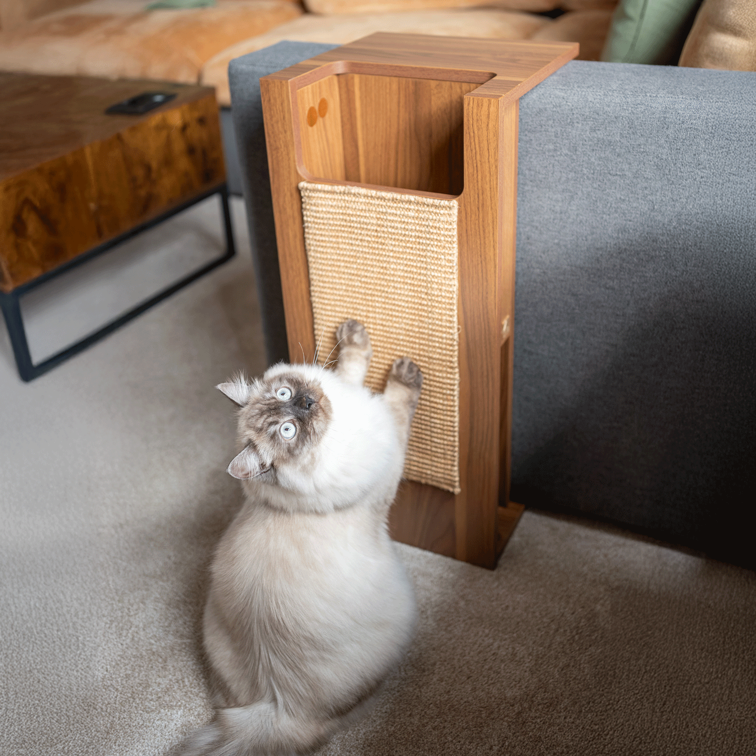 jewl nesting table + scratcher