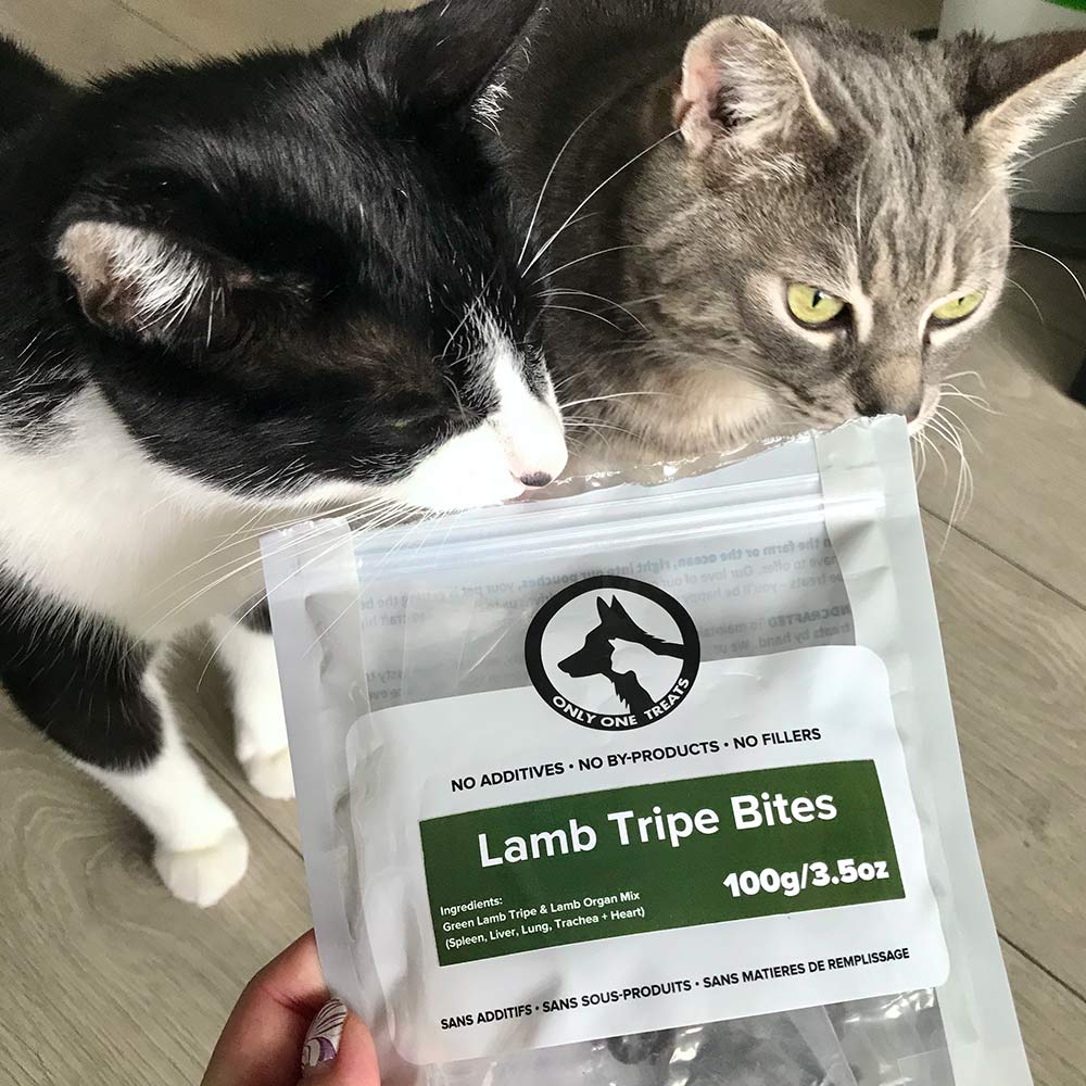 Lamb Tripe Bites 100g