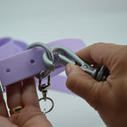Waterproof Dog Walk Combo – Collar, Leash & Tag