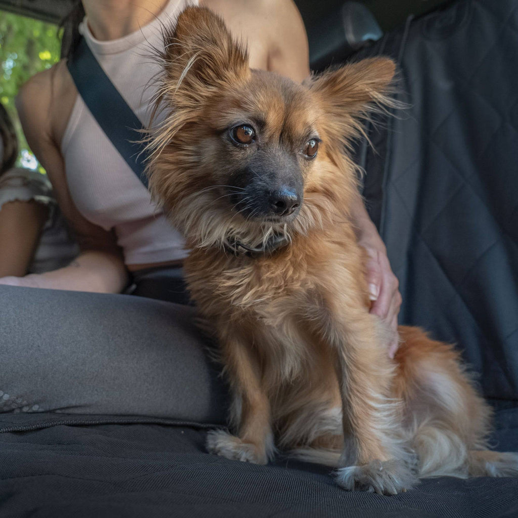 car seat protector | pet hammock seat cover