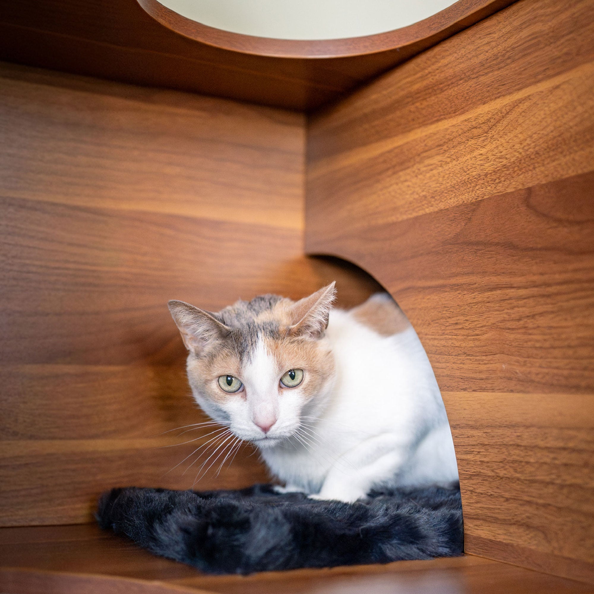 Maine Mats – Faux Fur Pet Furniture Mats, Set of 3