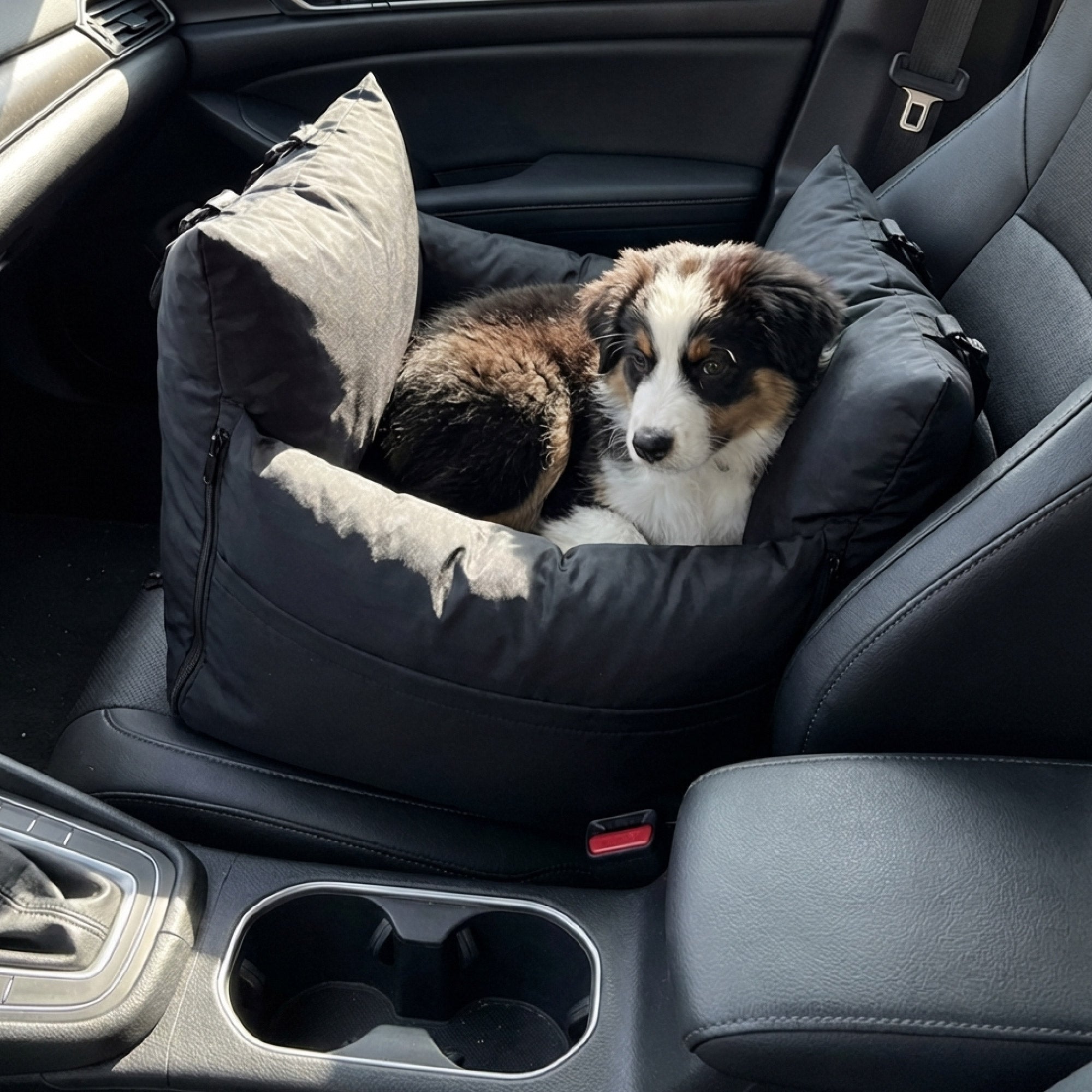 Marco Travel Pet Bed – Single & Double Seater, 4 Colours