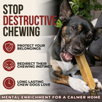 Bully Bunches Himalayan Yak Chew – Medium