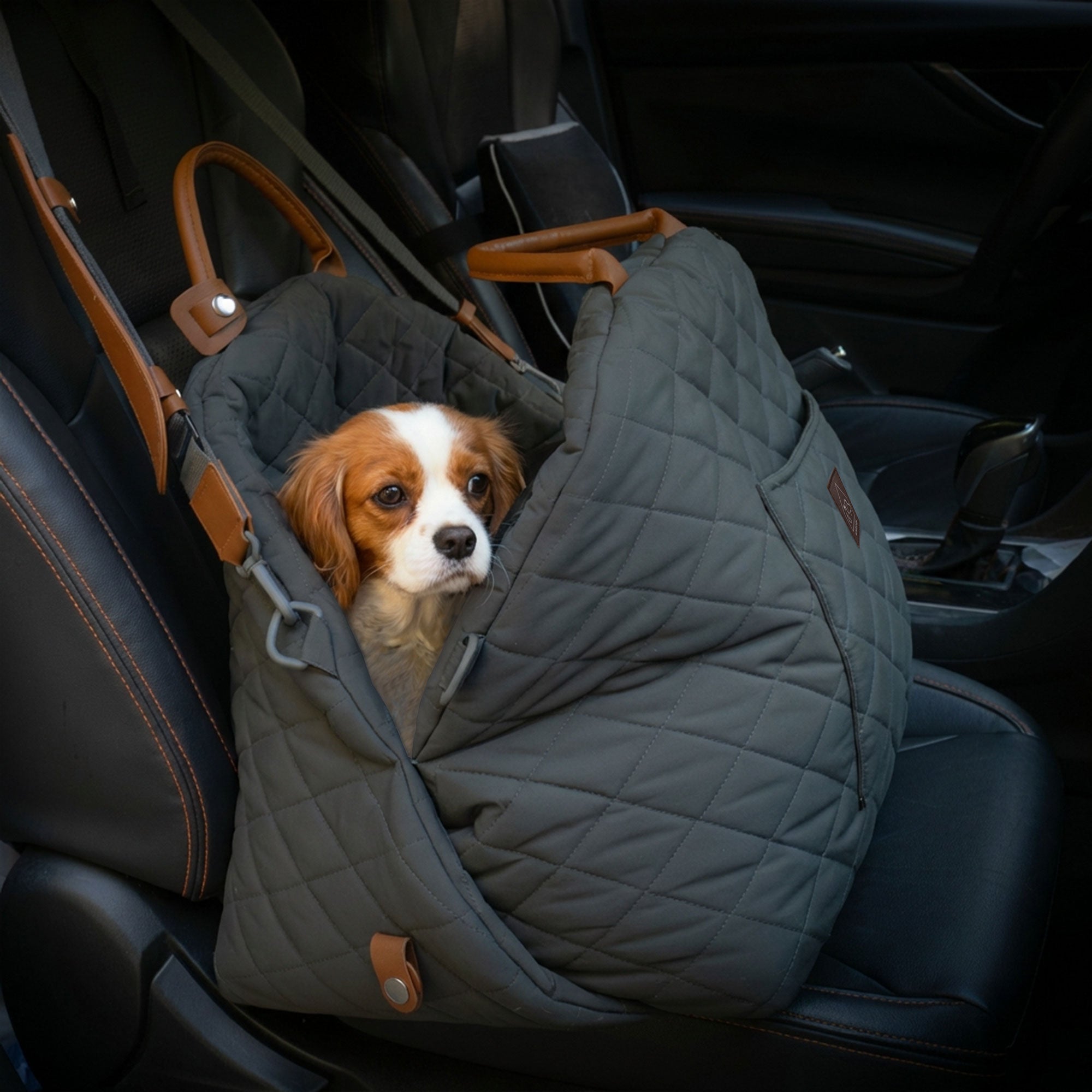 Mew Mew Travel Pet Bed & Carrier – 4 Colours