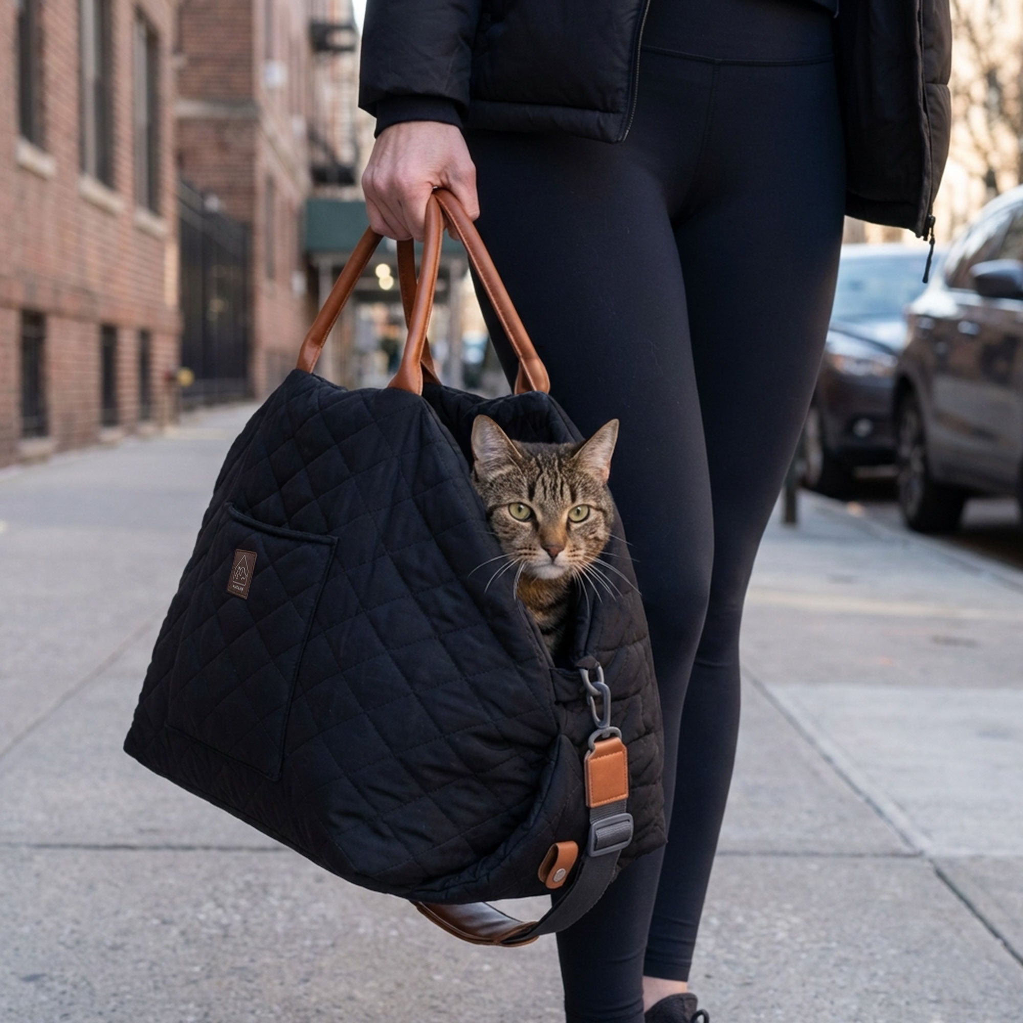 Mew Mew Travel Pet Bed & Carrier – 4 Colours