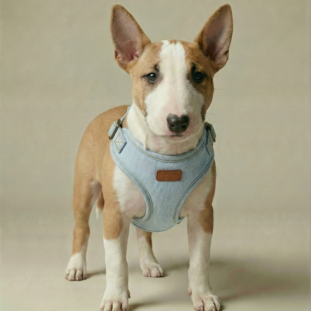 Denim Harness – Dog Harness, 3 Colours
