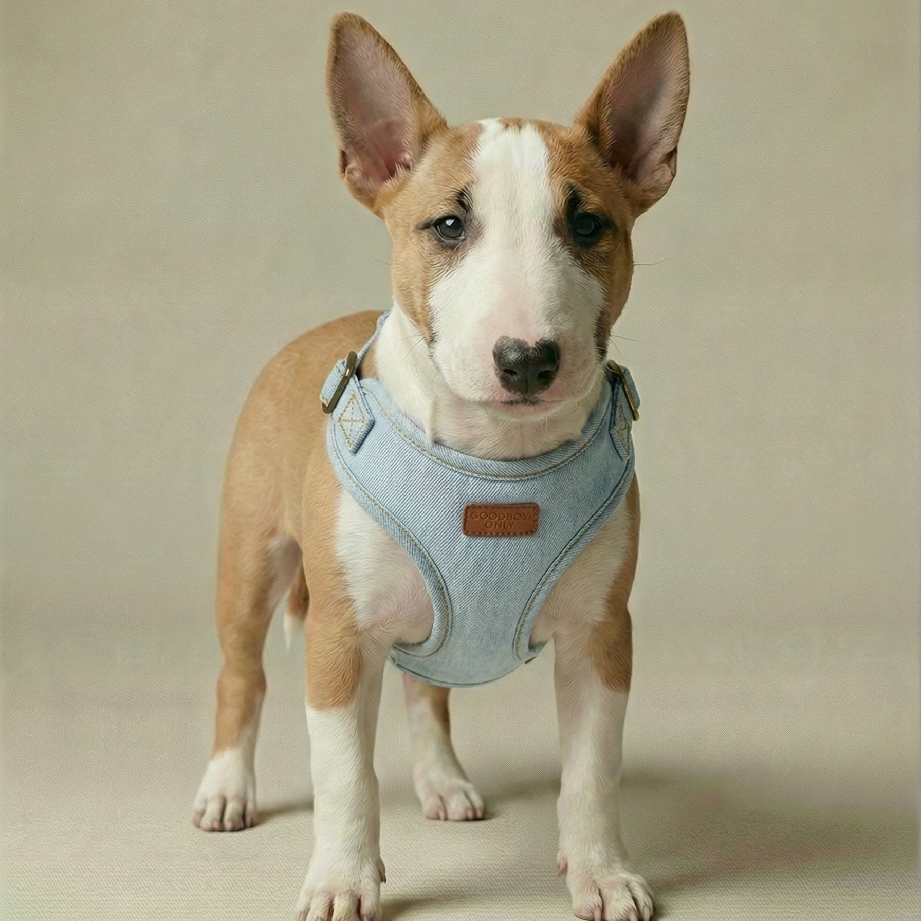 Denim Harness – Dog Harness, 3 Colours