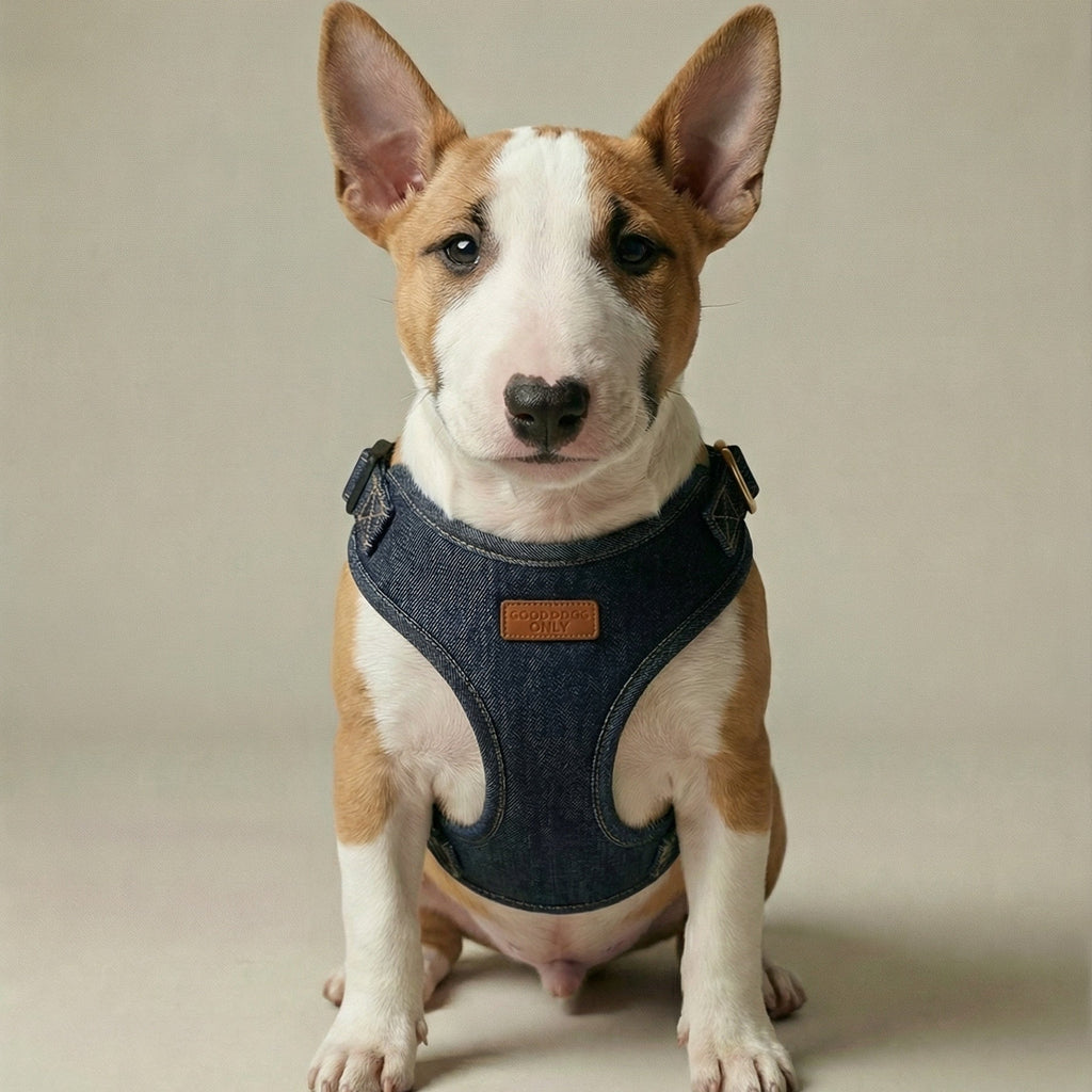 Denim Harness – Dog Harness, 3 Colours