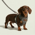 Plaid Leash – Dog Leash, 3 Colours