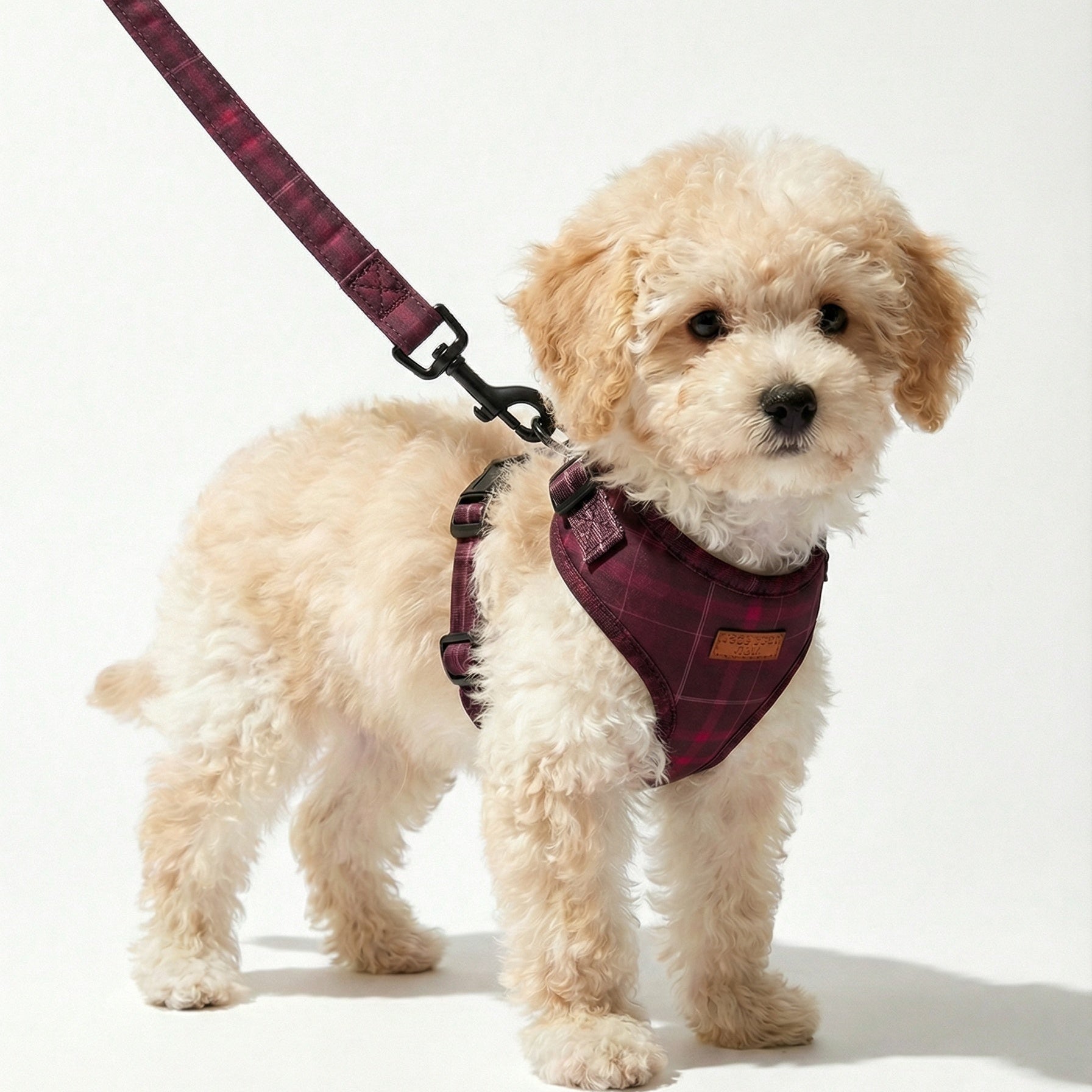 Plaid Leash – Dog Leash, 3 Colours