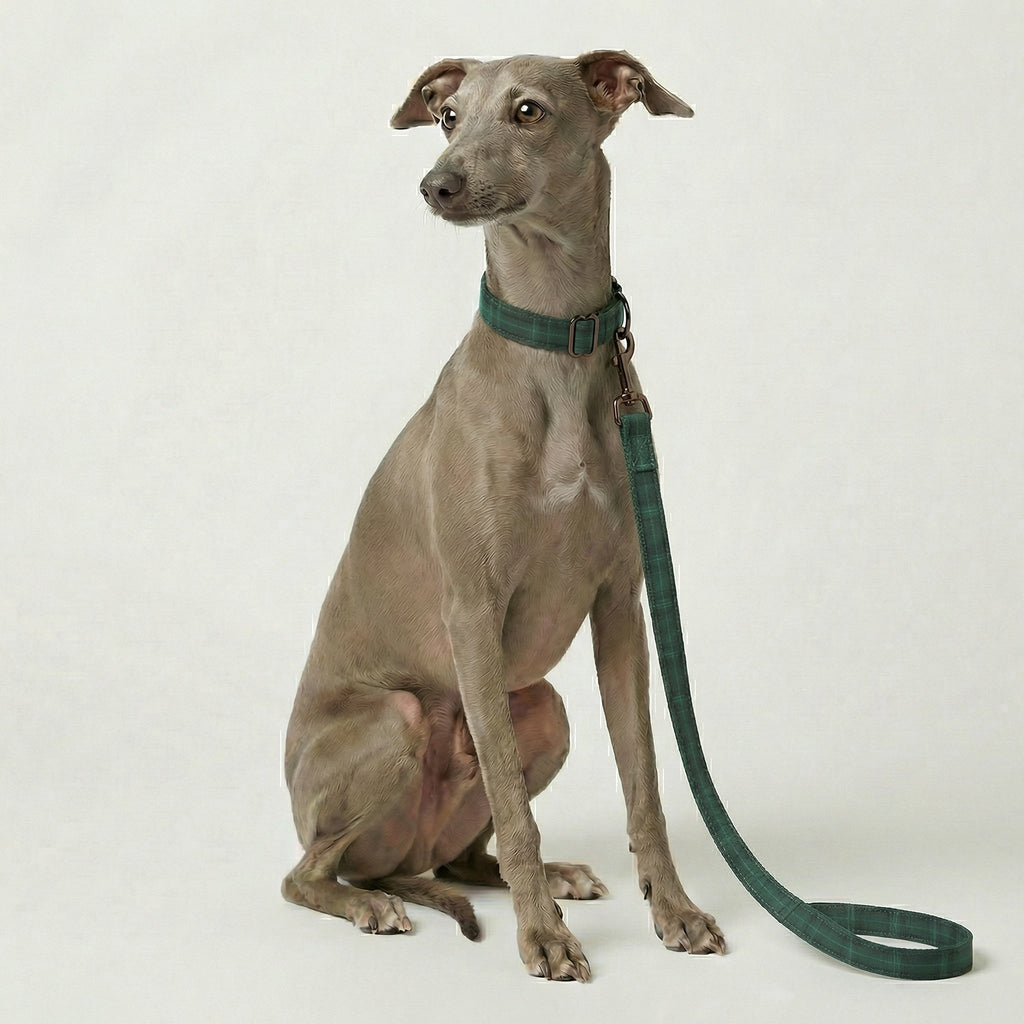 Plaid Leash – Dog Leash, 3 Colours