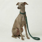 Plaid Leash – Dog Leash, 3 Colours