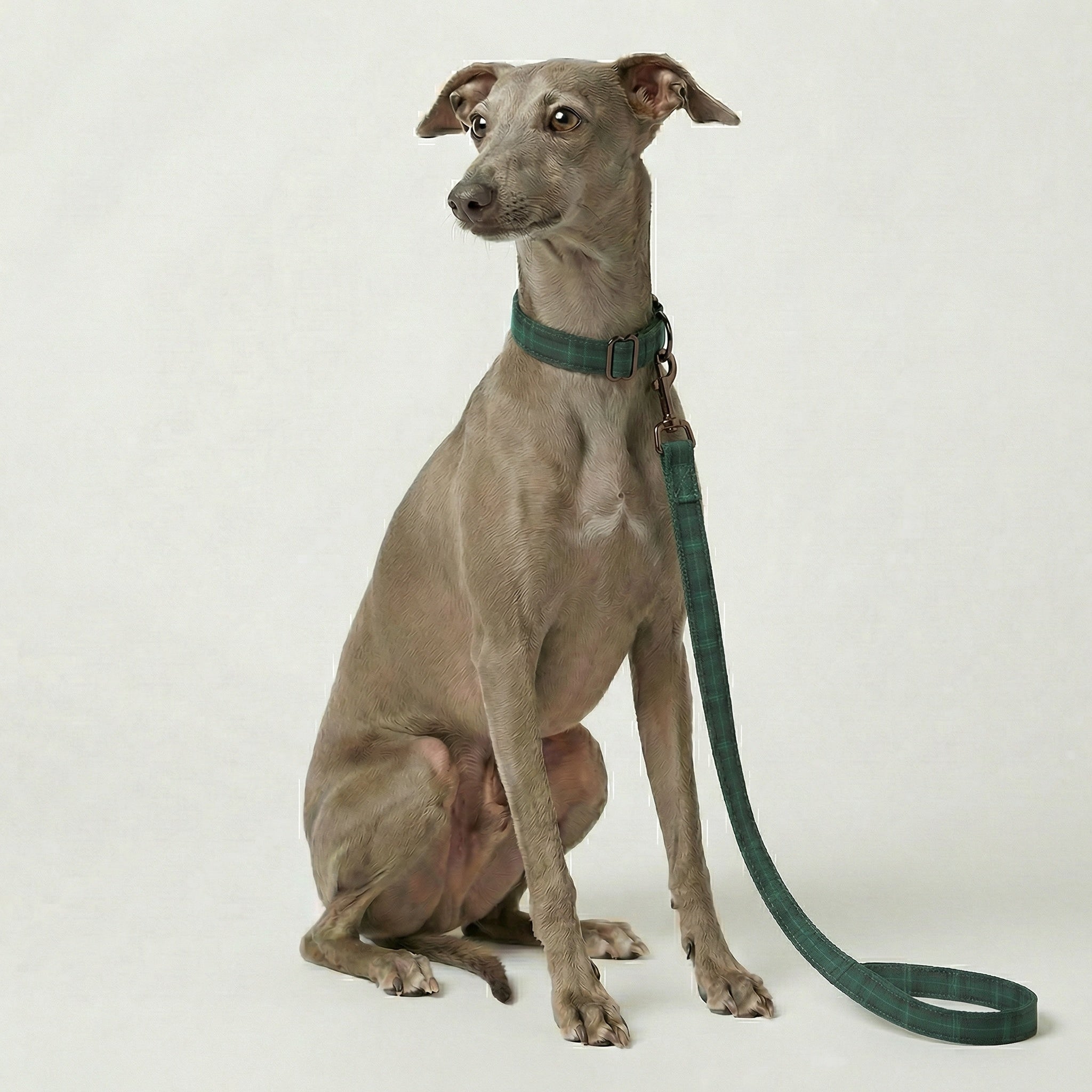 Plaid Leash – Dog Leash, 3 Colours