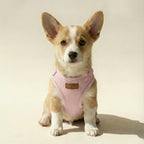 Tweed Harness – Dog Harness, 3 Colours