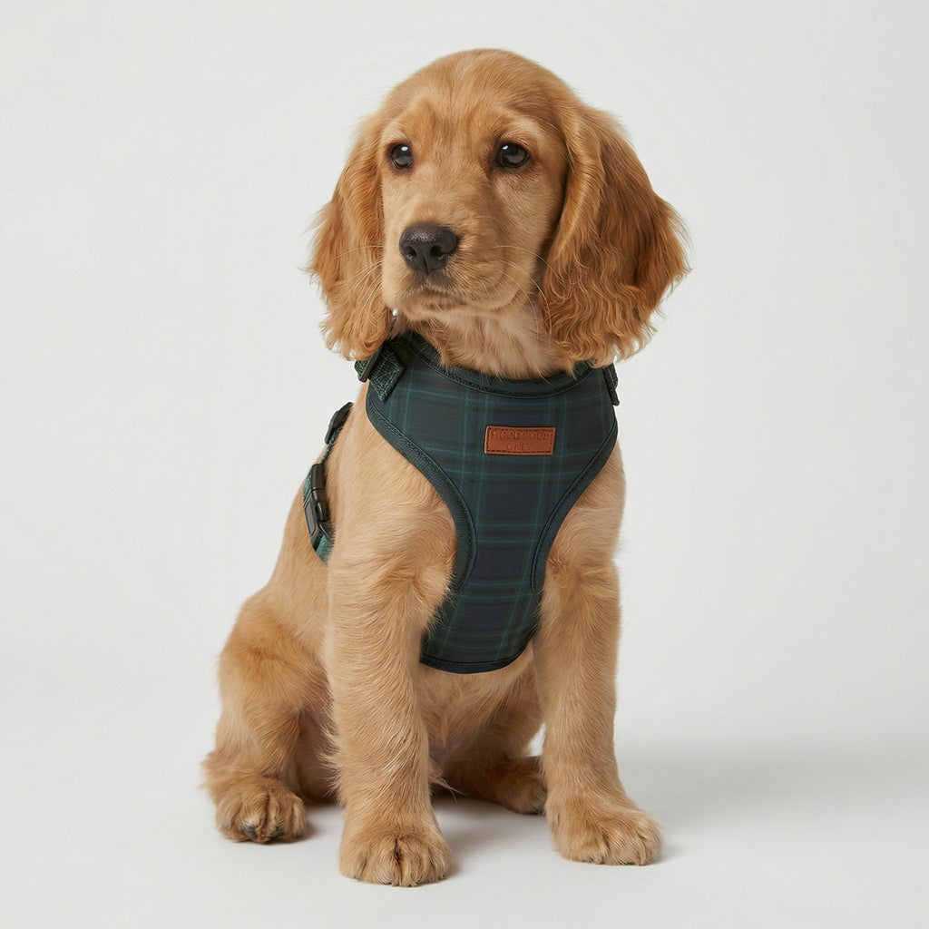 Plaid Harness – Tartan Dog Harness, 3 Colours