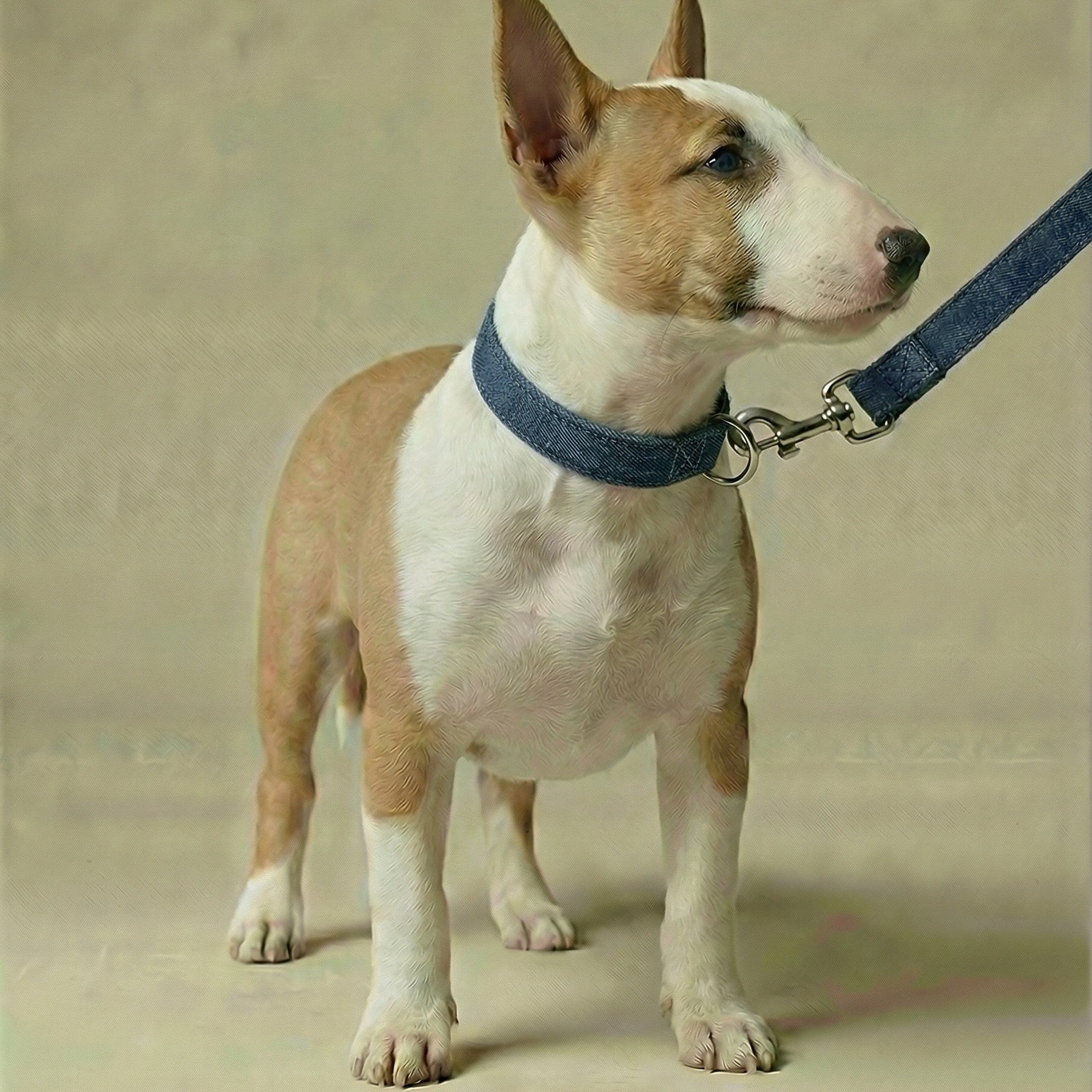 Denim Leash – Dog Leash, 3 Colours