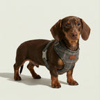 Plaid Harness – Tartan Dog Harness, 3 Colours