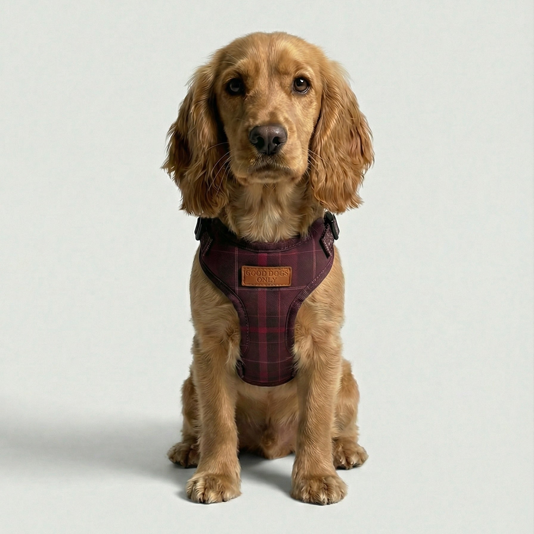 Plaid Harness – Tartan Dog Harness, 3 Colours