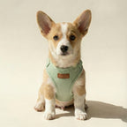 Tweed Harness – Dog Harness, 3 Colours