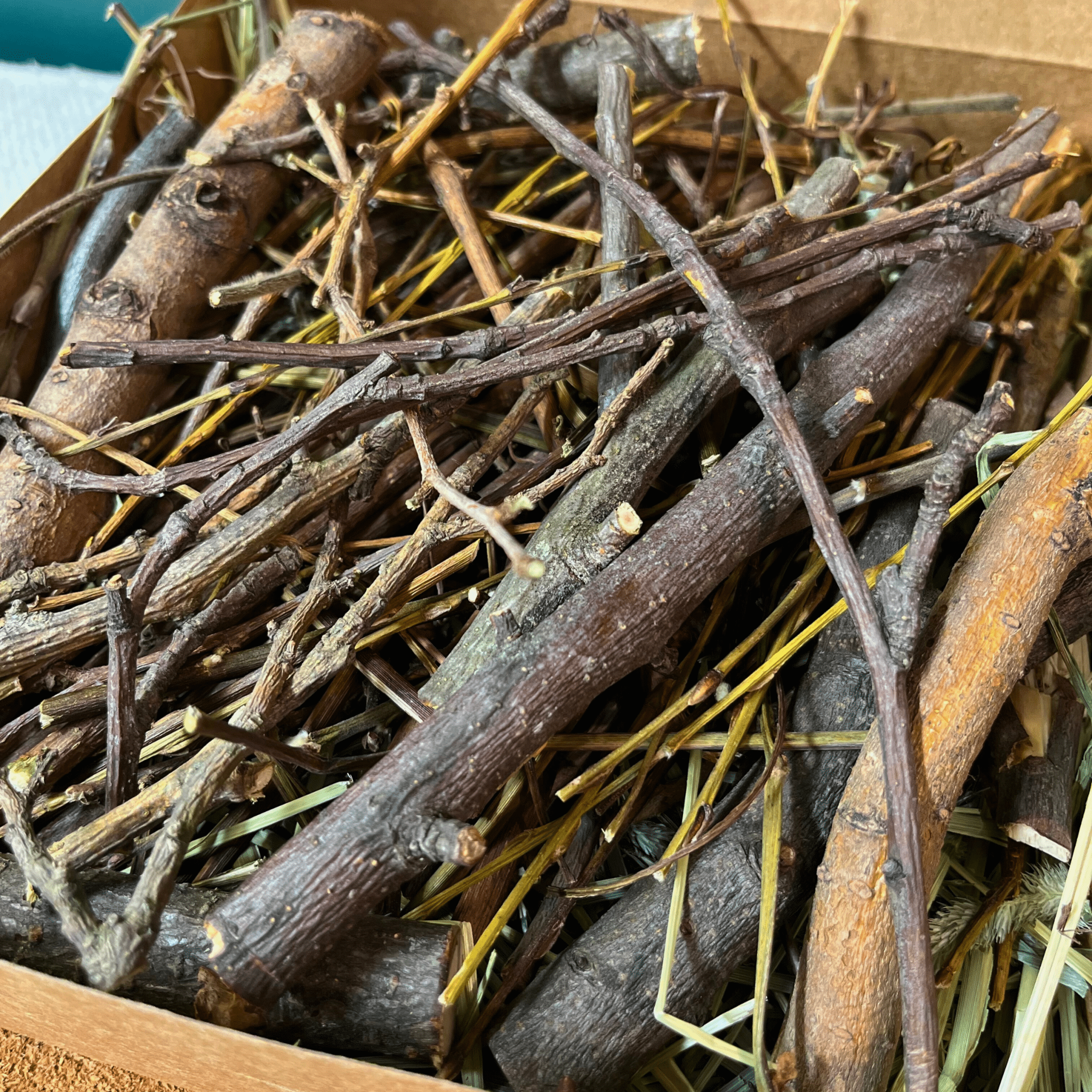 Bunny Chew Box: Apple, Kiwi, Currant & Gooseberry