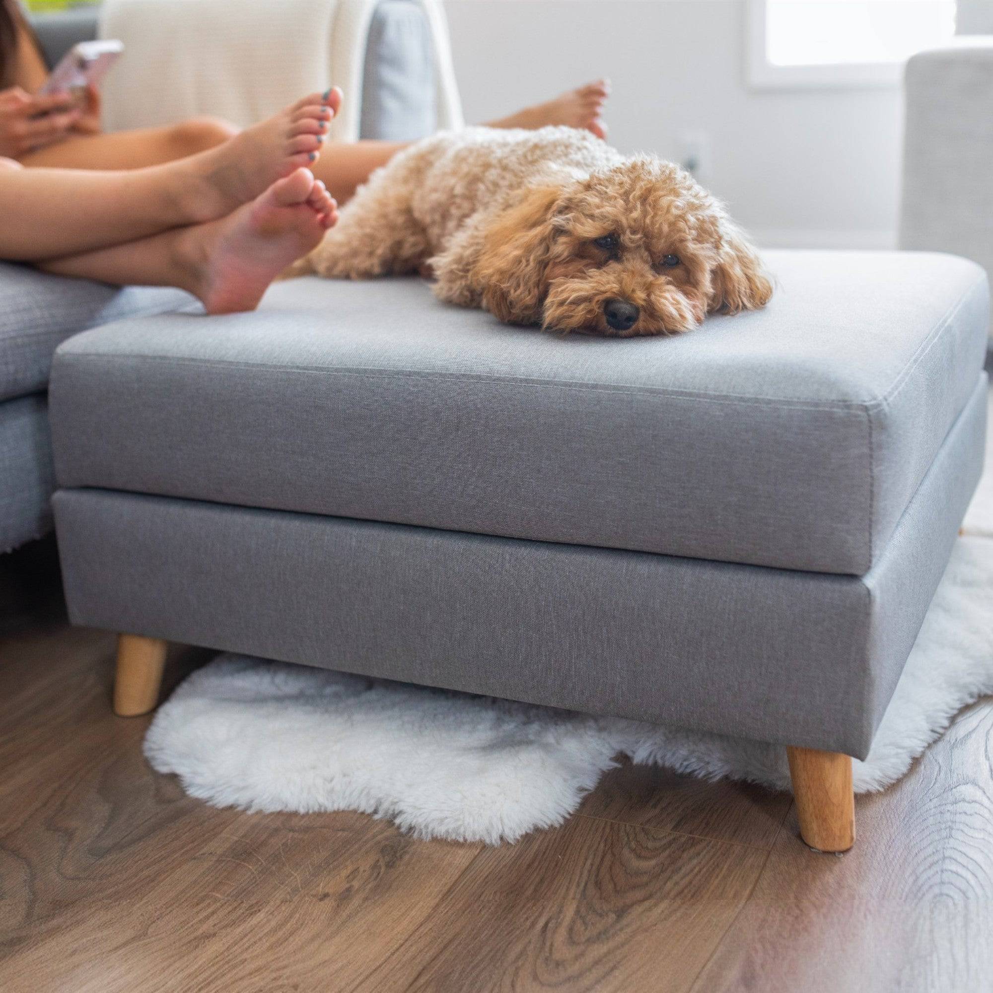 Otto Pet Ottoman – Footstool, Storage & Sunken Pet Bed