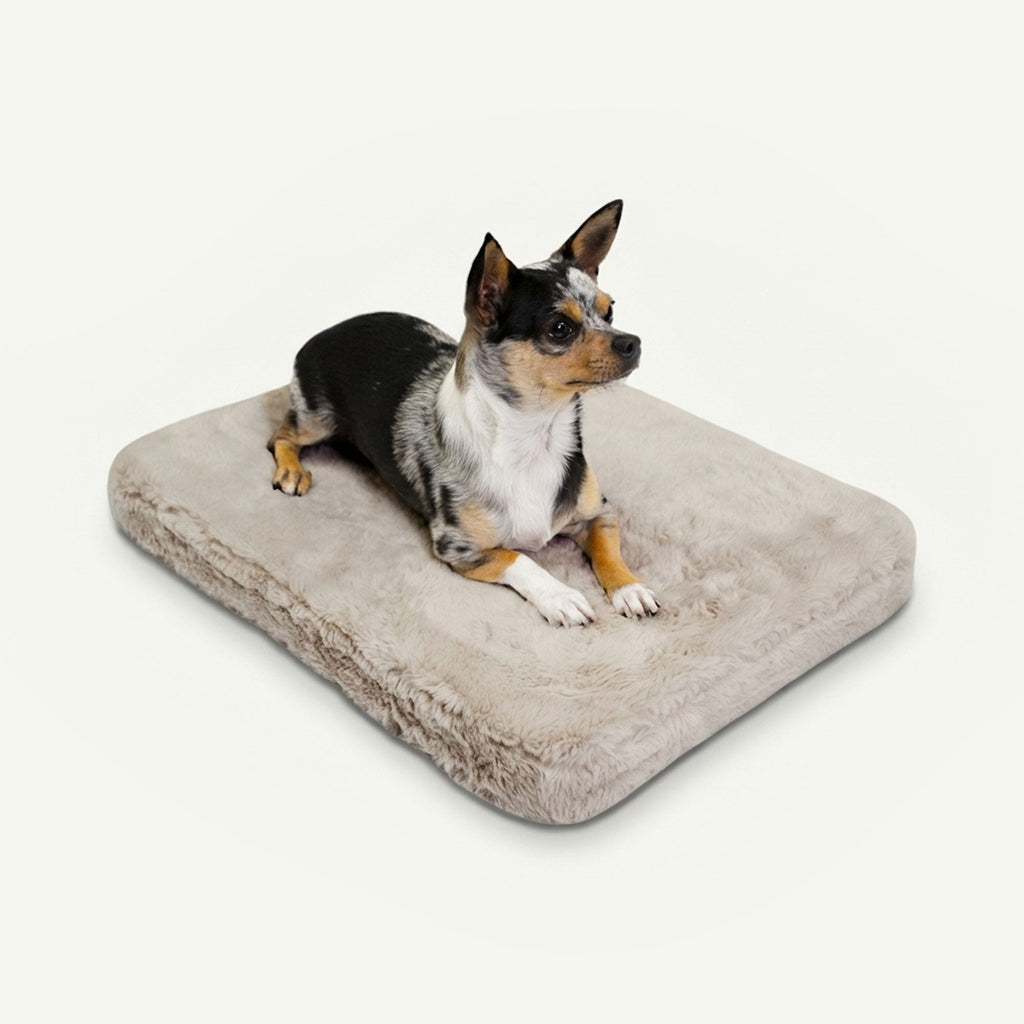 pixie pad leak-resistant dog bed