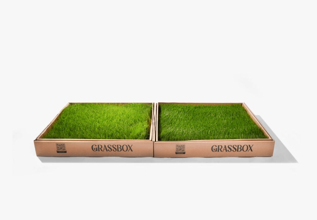 GrassBox