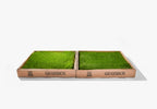 GrassBox