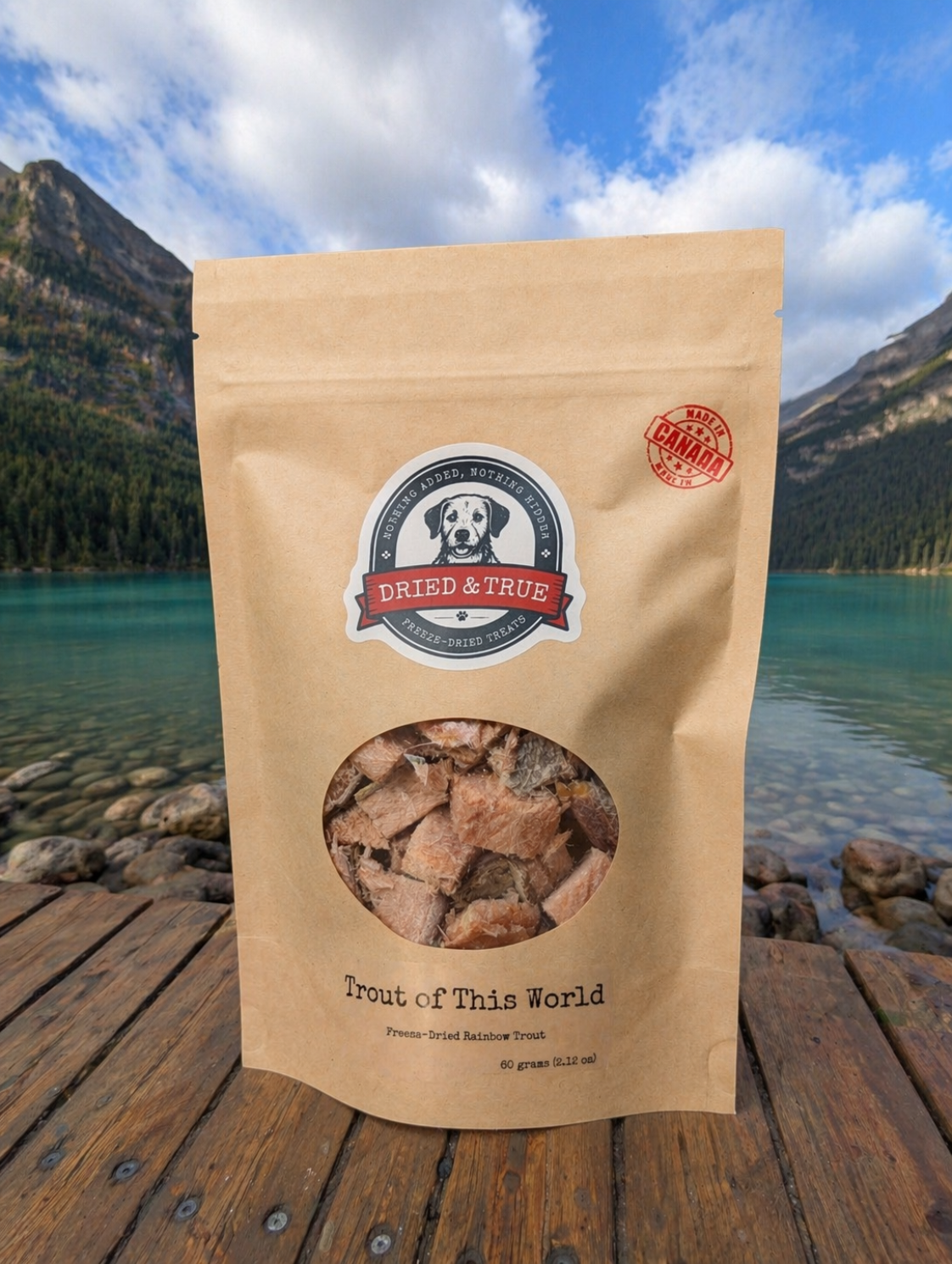 Dried & True Trout of This World – Freeze-Dried Rainbow Trout