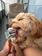 Barkday Treats Dog Pops – Peanut Butter & Yogurt Dog Treat