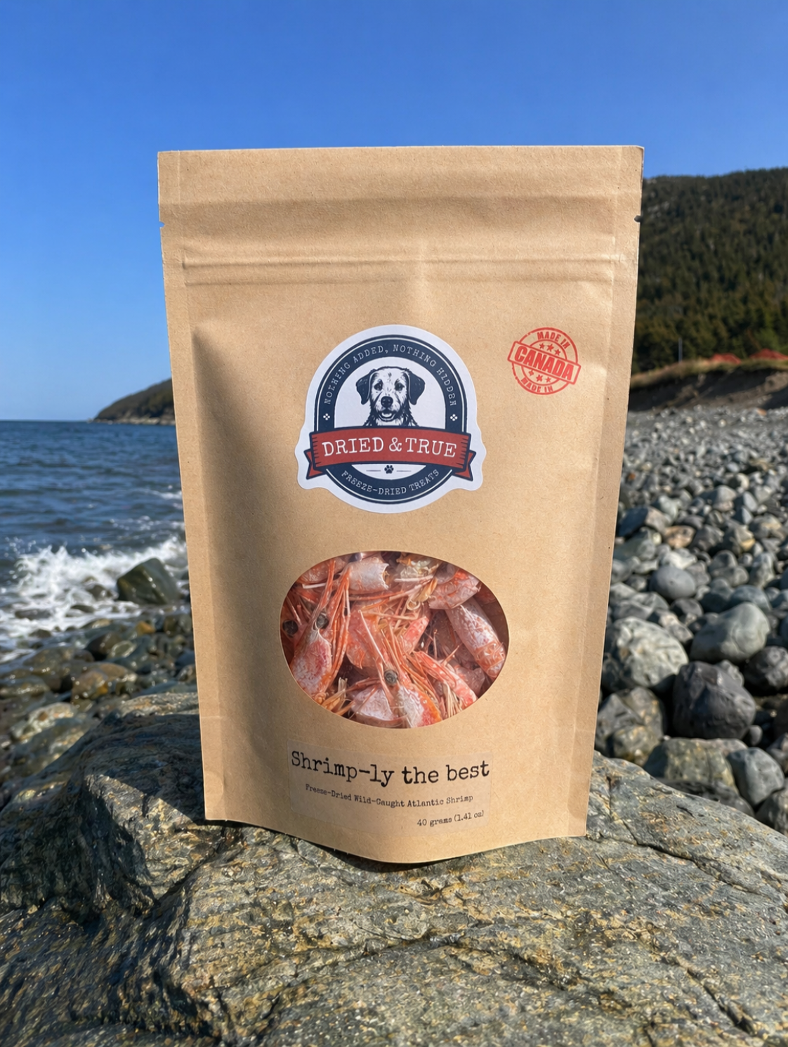 Dried & True Shrimp-ly the Best – Freeze-Dried Shrimp