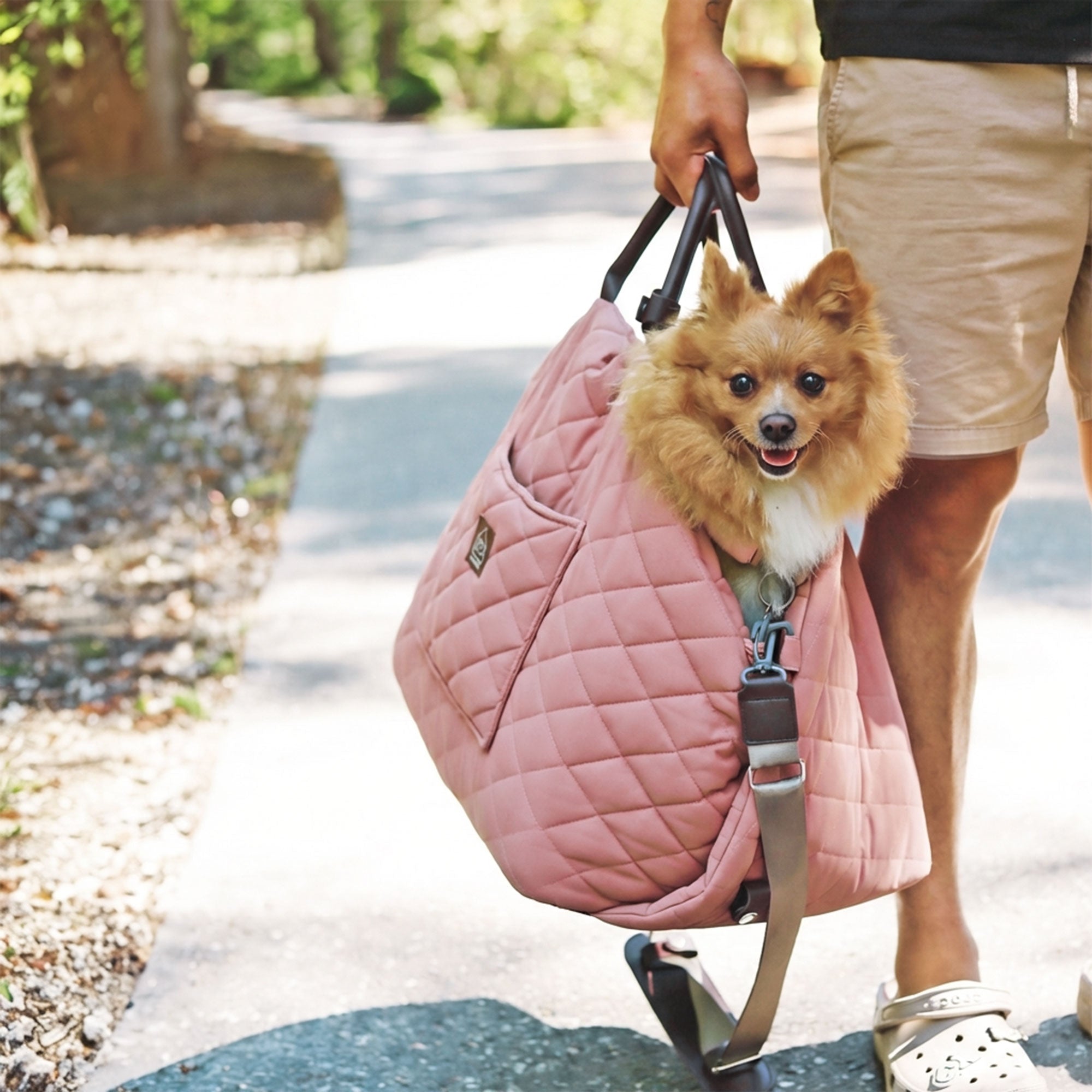 Mew Mew Travel Pet Bed & Carrier – 4 Colours