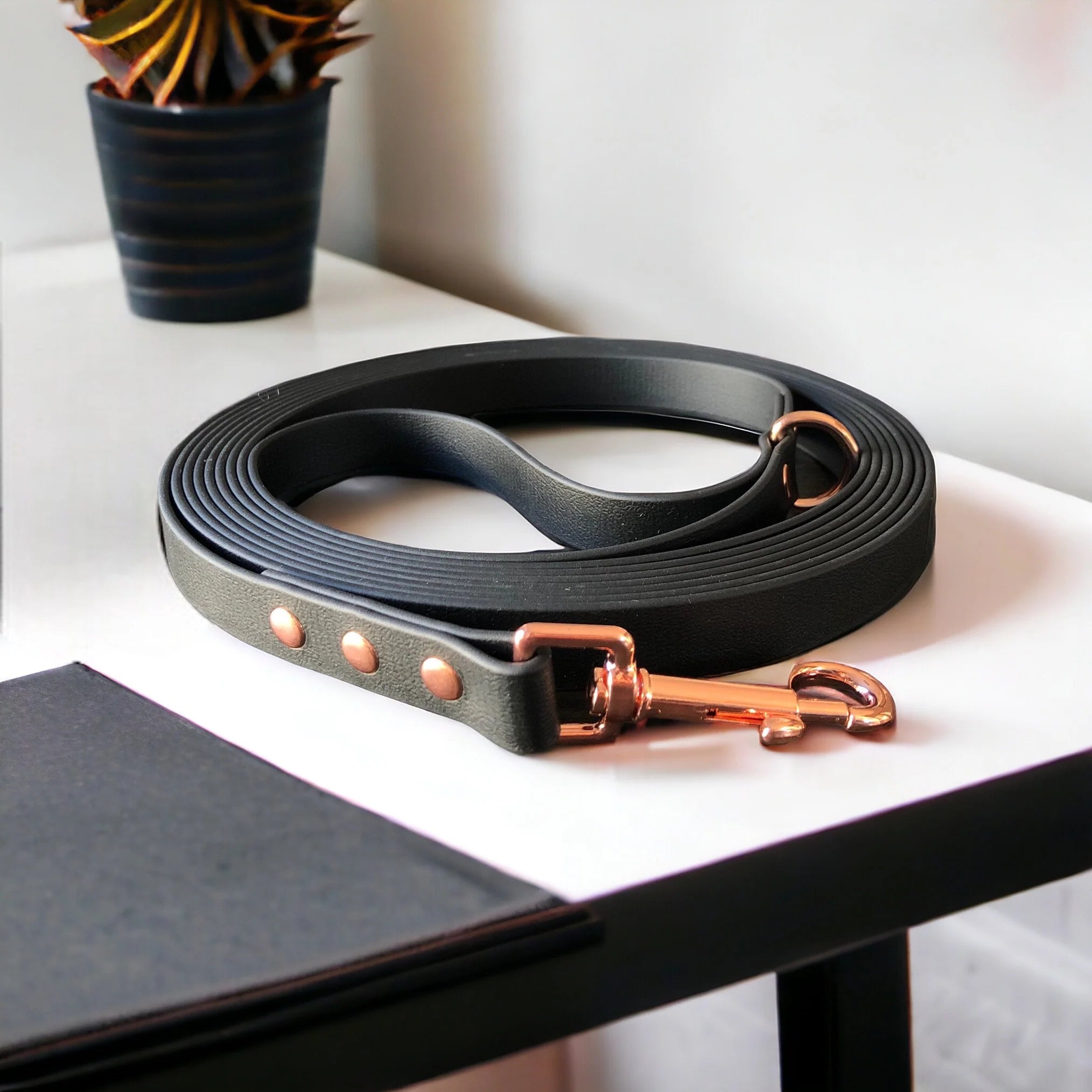 Waterproof Gear for Dogs - 15' Long Line (3/4")