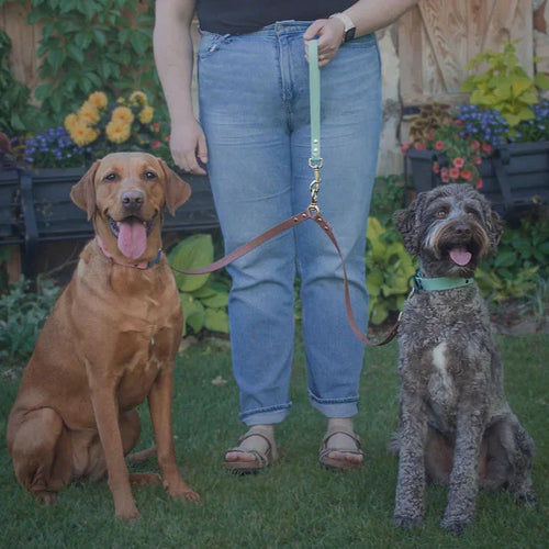 24" Double Leash Coupler | (3 options)