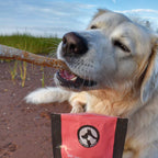 Salmon Skin Strips 85g