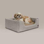 Sansa Modern Pet Bed – Structured Foam & Velvet, S/M/L