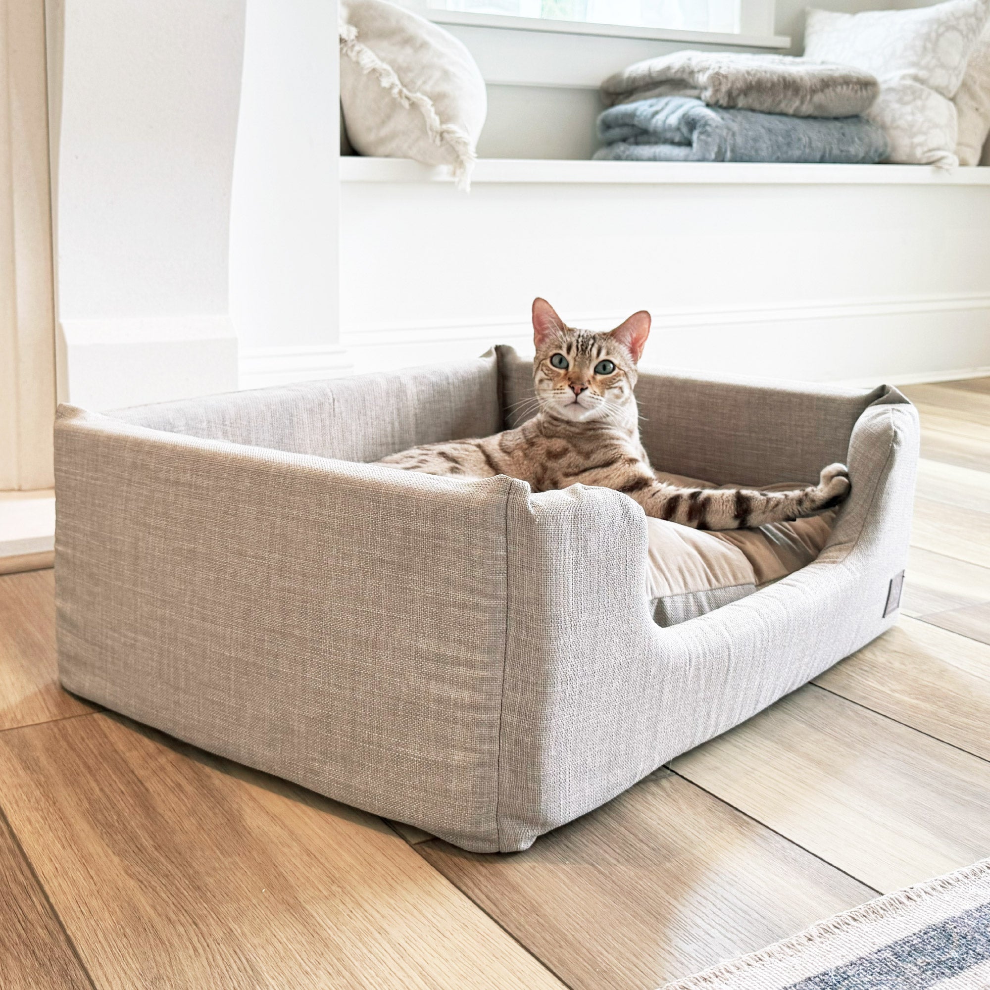 Sansa Modern Pet Bed – Structured Foam & Velvet, S/M/L