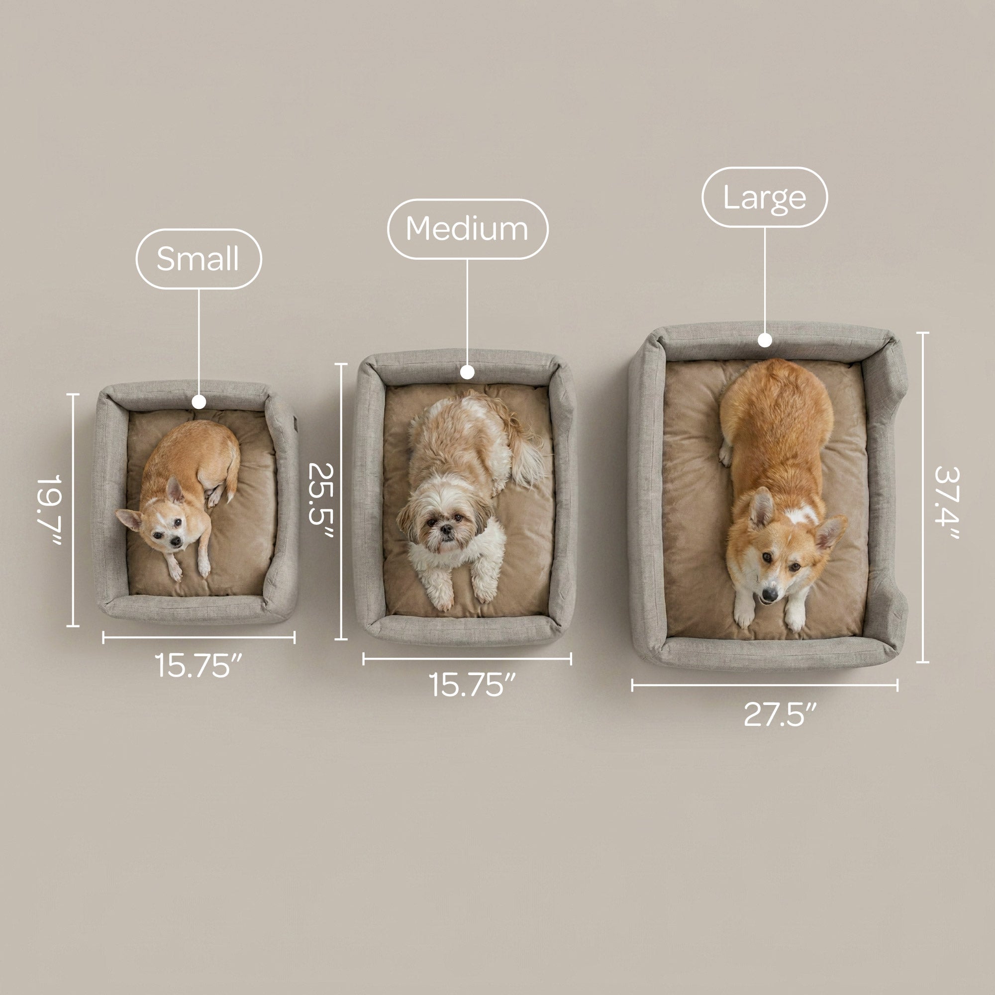 Sansa Modern Pet Bed – Structured Foam & Velvet, S/M/L