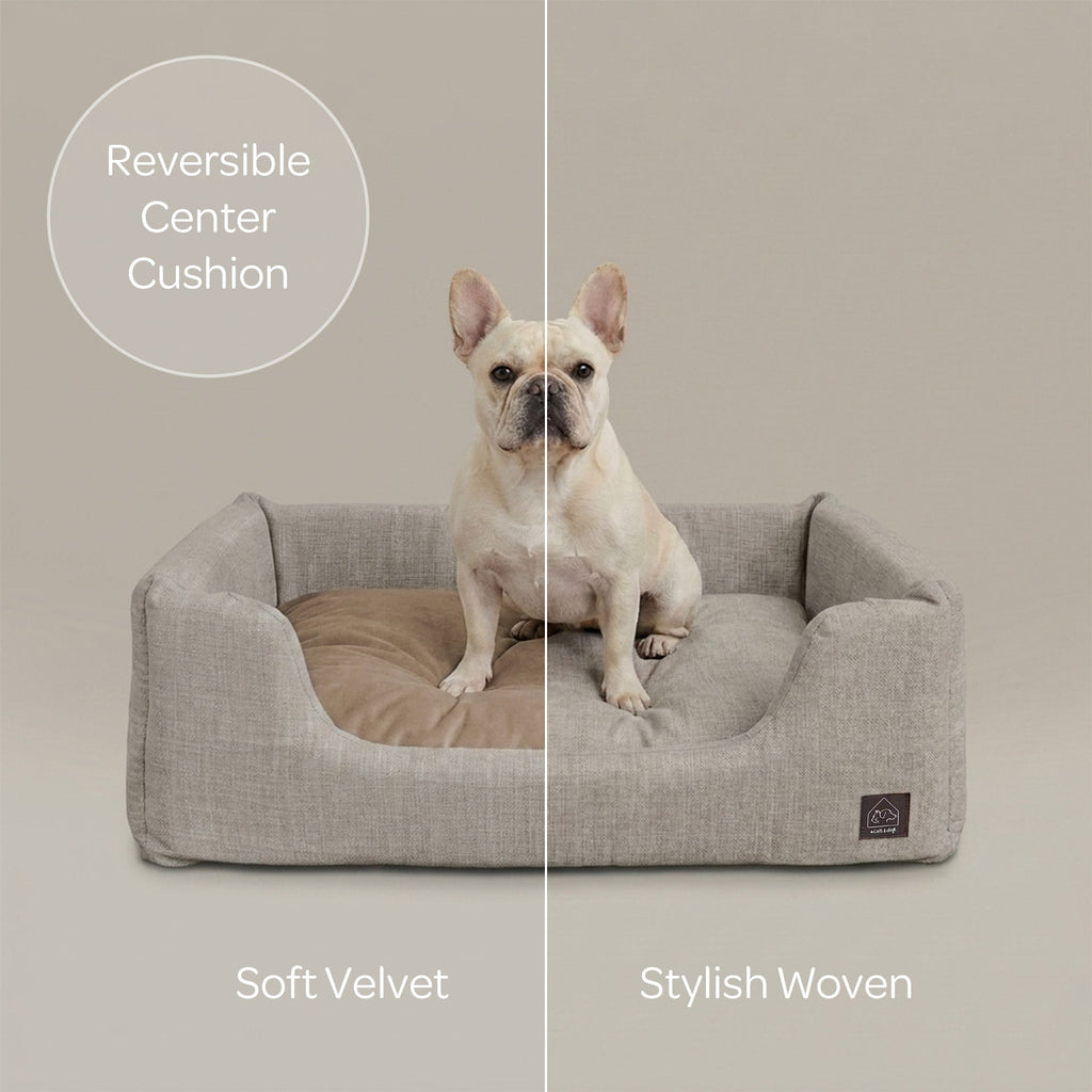 Sansa Modern Pet Bed – Structured Foam & Velvet, S/M/L